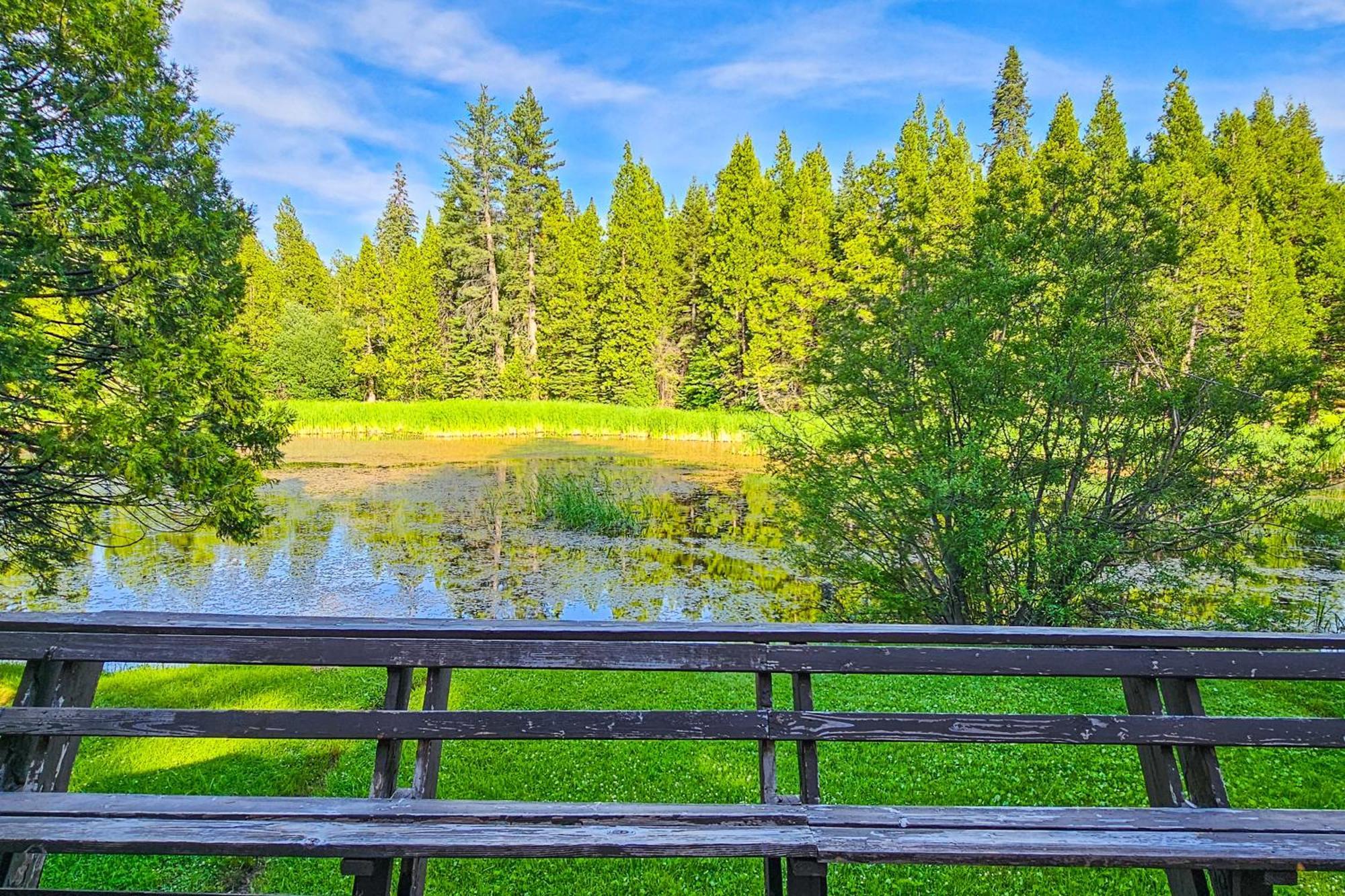 Water'S Edge Retreat Shaver Lake Exterior foto